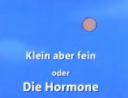 die-hormone.jpg